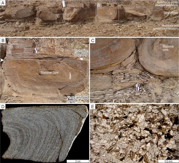 砂岩中发育的枕状构造