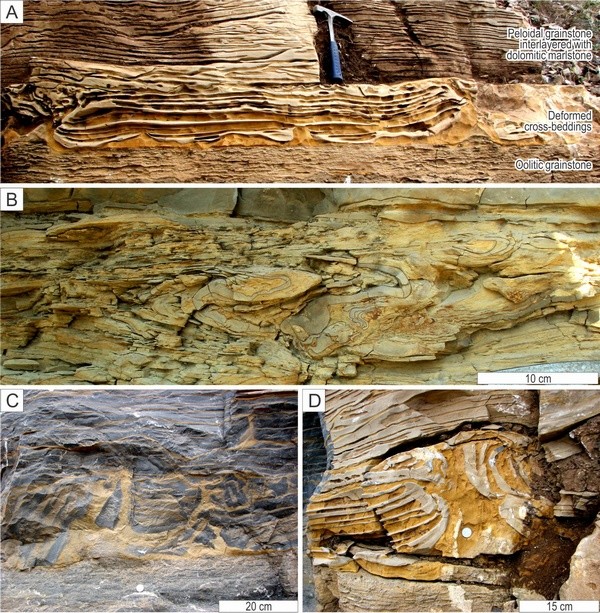 碳酸盐岩中发育的包卷构造与角砾构造