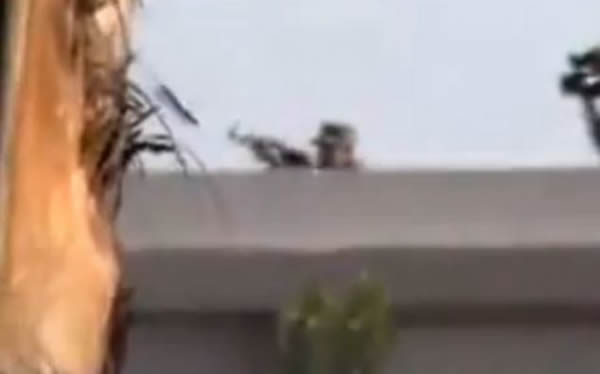 埃及摄影师拍下狙击手射杀自己的最后一刻