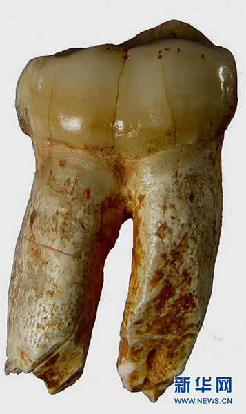 ǿԱôᶴھľԳʯ712㣩