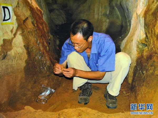 ǹQоԱôᶴпо20121112㣩