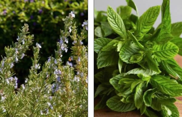 �����׷�ݵ���1.4����ǰ�Ĺ�������Ӻ�����β��(��)�ͱ���(��)�ȷ���ֲ��ľ��ͻ��ĺۼ���