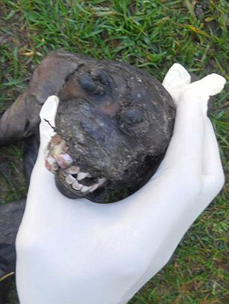 南非自然谷出现一具不明生物遗体