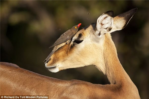 ţ�������ڰ������������ϵļ�����