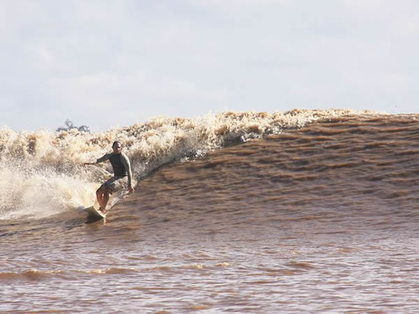 Pororoca���ˣ�����ѷ�ӣ�