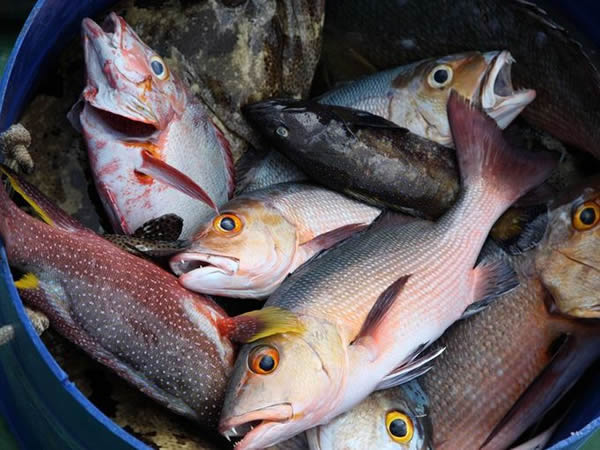 �����ꡱ���鶼��˹��Լ��ʡ��