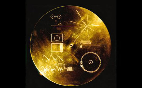 ��ϵ������