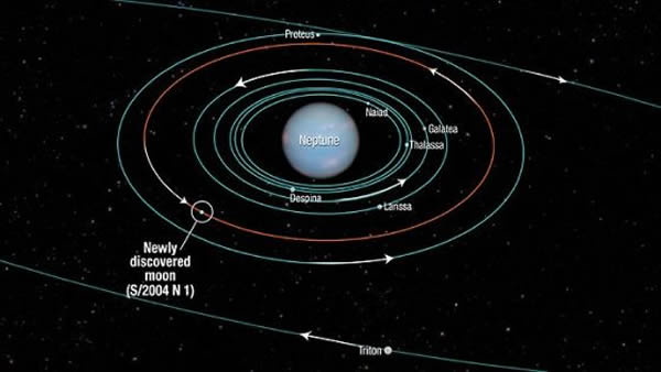 新发现的小卫星使海王星的卫星总数达到14颗,这张图展示的是海王星部分卫星的轨道示意图