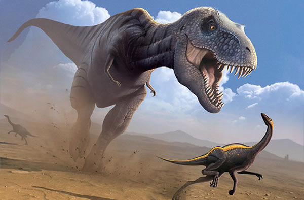 A Tyrannosaurus Rex hunts an Ornithomimus.