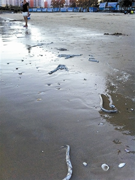 ������ϼӿ��������һ����������������