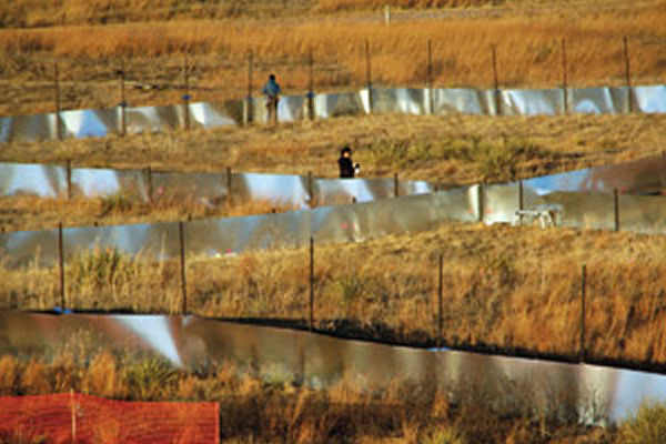 研究人员利用大型围场监测鹿鼠的进化