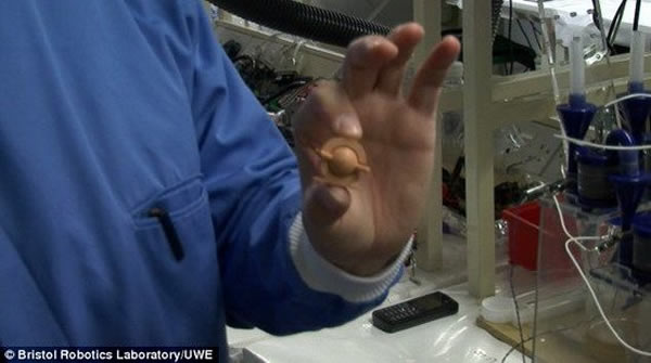 ��������˹��ʿչʾһ��΢����ȼ�ϵ�أ�ͨ�����û���΢������³´�л��������Ϊ����ת�������л�����ֱ��ת��Ϊ����