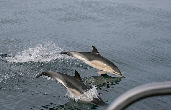 Ѱ�����㣡����ĩ������Ⱥ����ʥ������˿�����������������԰ټƵĺ��ࡣ