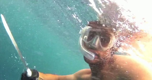 美国渔夫舍命跳海救鲸鱼