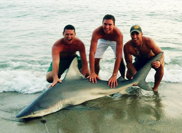 美国疯狂渔夫徒手擒获2米长鲨鱼