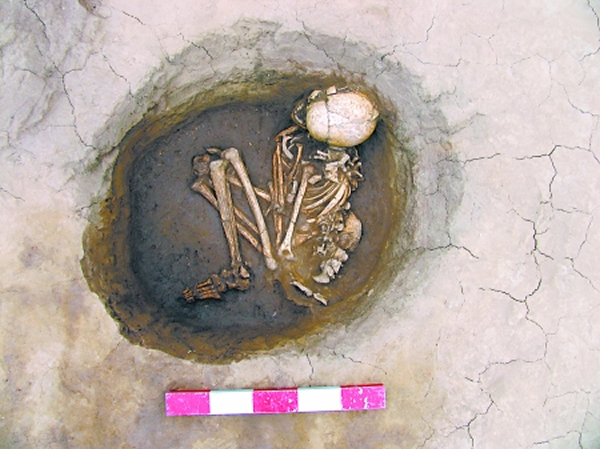 ��ɽ������ʯ��ʱ����֫Ĺ��