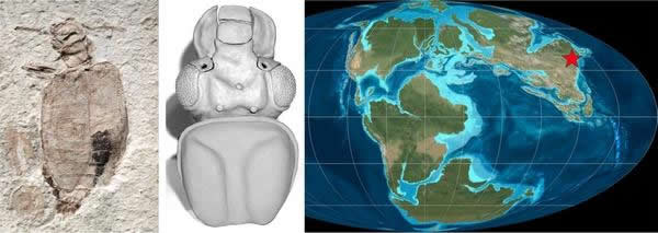 ٪�޼׻�ʯ��ͷ����ǰ�ر�����άģ�ͼ��ŵ����ֲ�