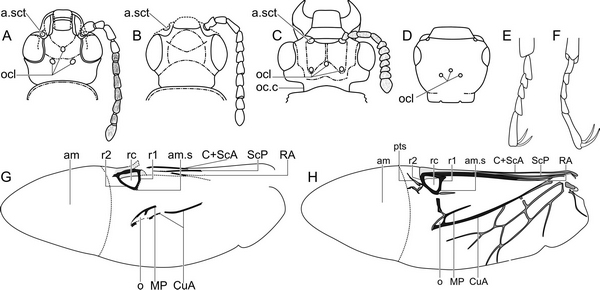 ٪�޼׽ṹϸ�ڶԱ�