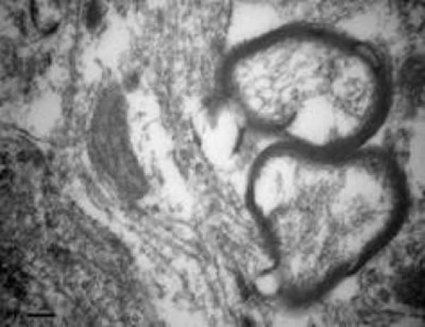 �羵��(�� 3 500)�����谷��ͪ������������֯΢����������