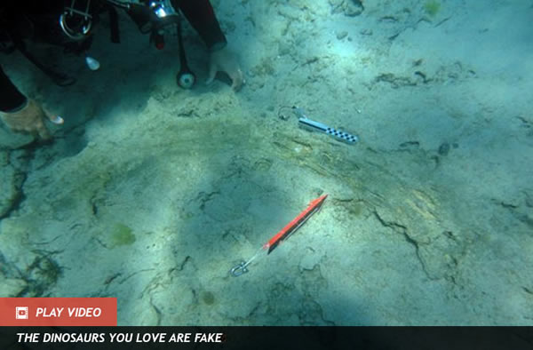 Fossilized Elephant Tusk Found on Seafloor