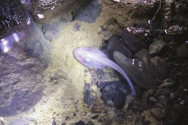 �Ĵ�ʡ�˱��ܶ���ġ������㡱