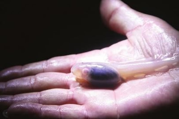 �Ĵ�ʡ�˱��ܶ���ġ������㡱