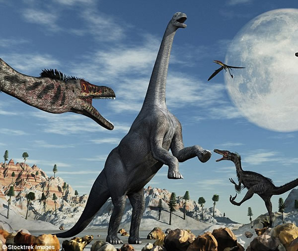 Maintenance: The researchers found that the Camarasaurus (centre) had up to thre