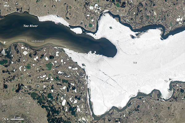 卫星照片展示俄罗斯塔兹河的融冰过程