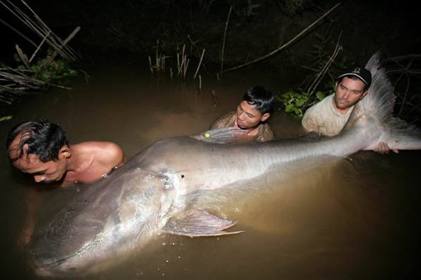 �ع��Ӵ�����