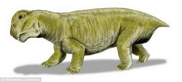 ͼˮޣִ¼ˮ޿Ǳڵ¶ѨӦµ滷