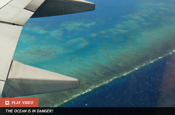 U.S. Accidentally Bombs Great Barrier Reef