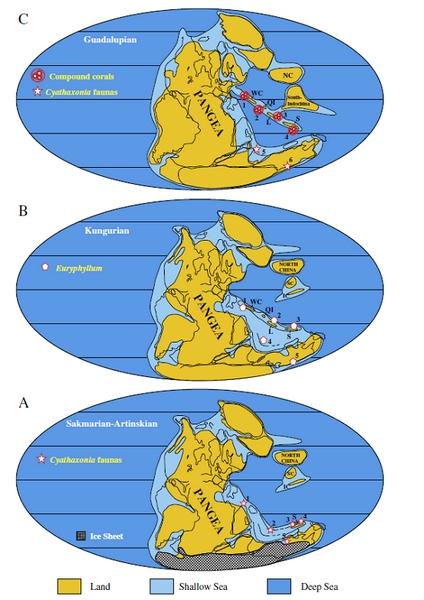 包括滇缅马的基默里陆块从早二叠世的小型单体无鳞板珊瑚到中二叠世的复体珊瑚的古生物地理演变