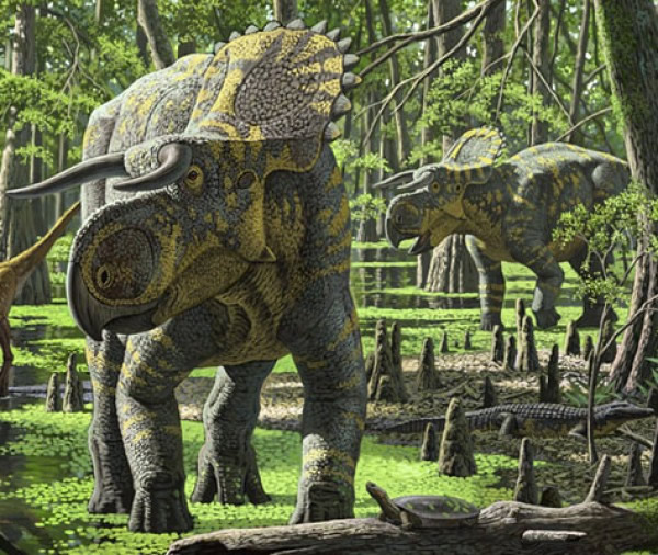 长角的恐龙还长着大鼻子