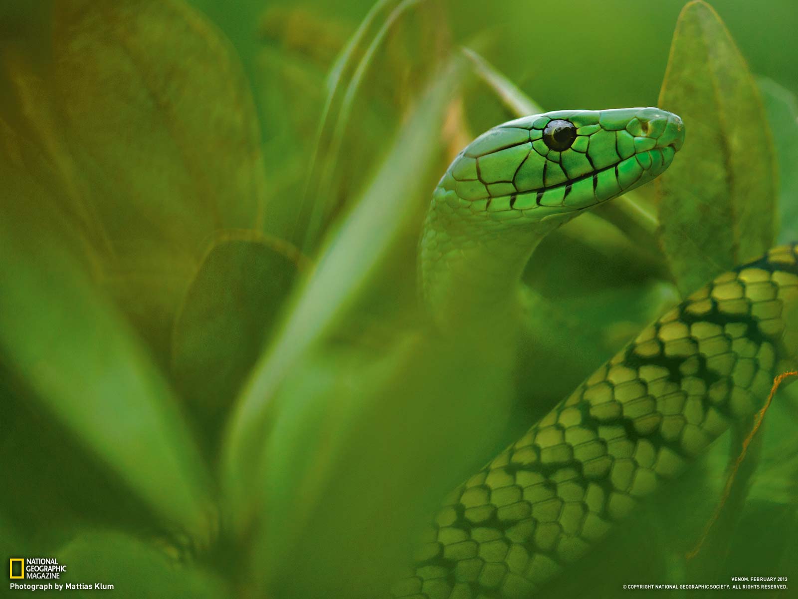 ����¡һ������������