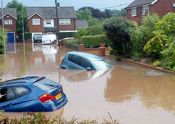 英国极端天气致鱼类大量死亡