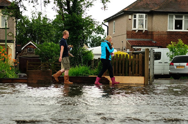 英国极端天气致鱼类大量死亡
