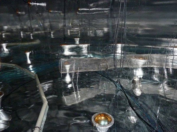 ��΢�����Լ��ķ�������?