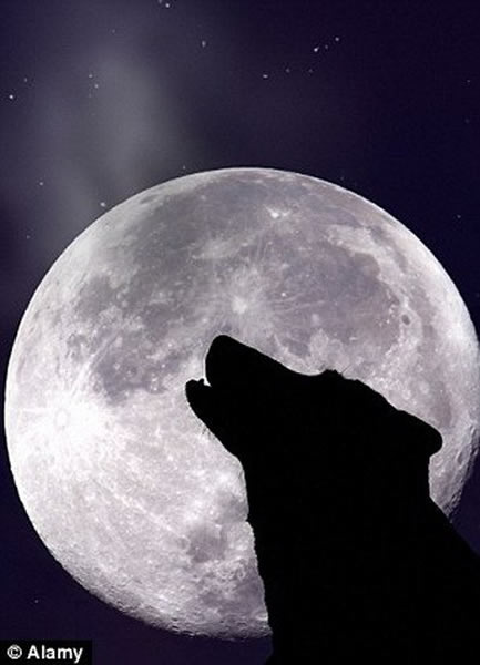 �����о���ʾ�����½����ļ�������߽������������������������