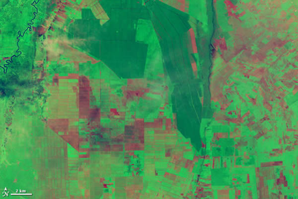 第二幅照片是Landsat 8卫星于2013年5月24日拍摄的,显示了相同的区域在旱季火灾之前的景象。