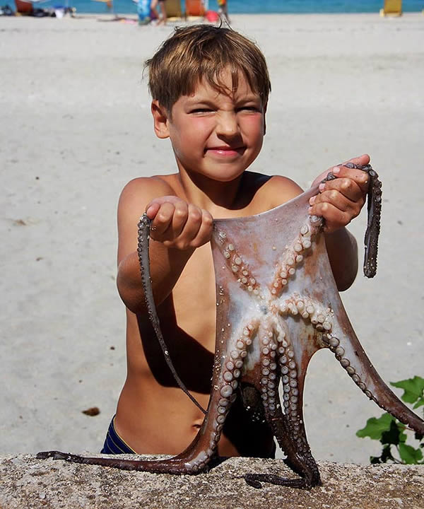 �����ο���ϣ��ץ����������������