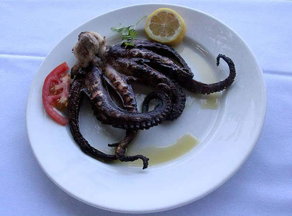 美国游客在希腊抓到罕见的六足章鱼 - 神秘的地