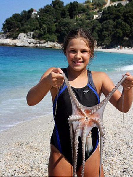 �����ο���ϣ��ץ����������������