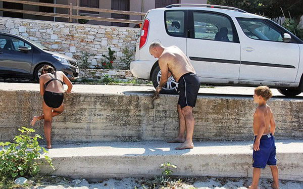 �����ο���ϣ��ץ����������������