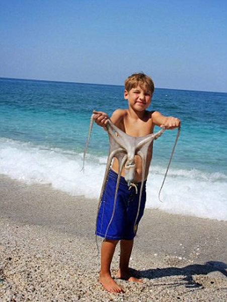 �����ο���ϣ��ץ����������������