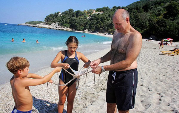 �����ο���ϣ��ץ����������������