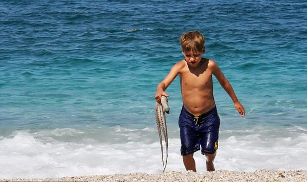 �����ο���ϣ��ץ����������������