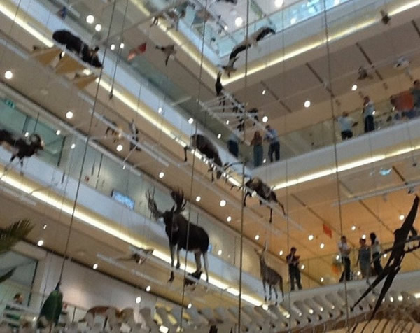 意大利特伦托新建一座交互式多媒体科学博物馆