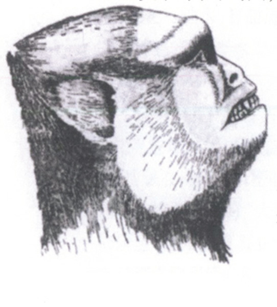 传说中的阿尔金山野人