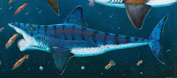 �������Բ�������