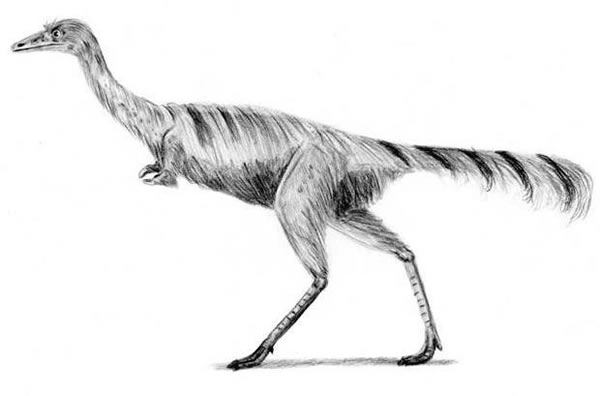 ��צ���ĵ�צ